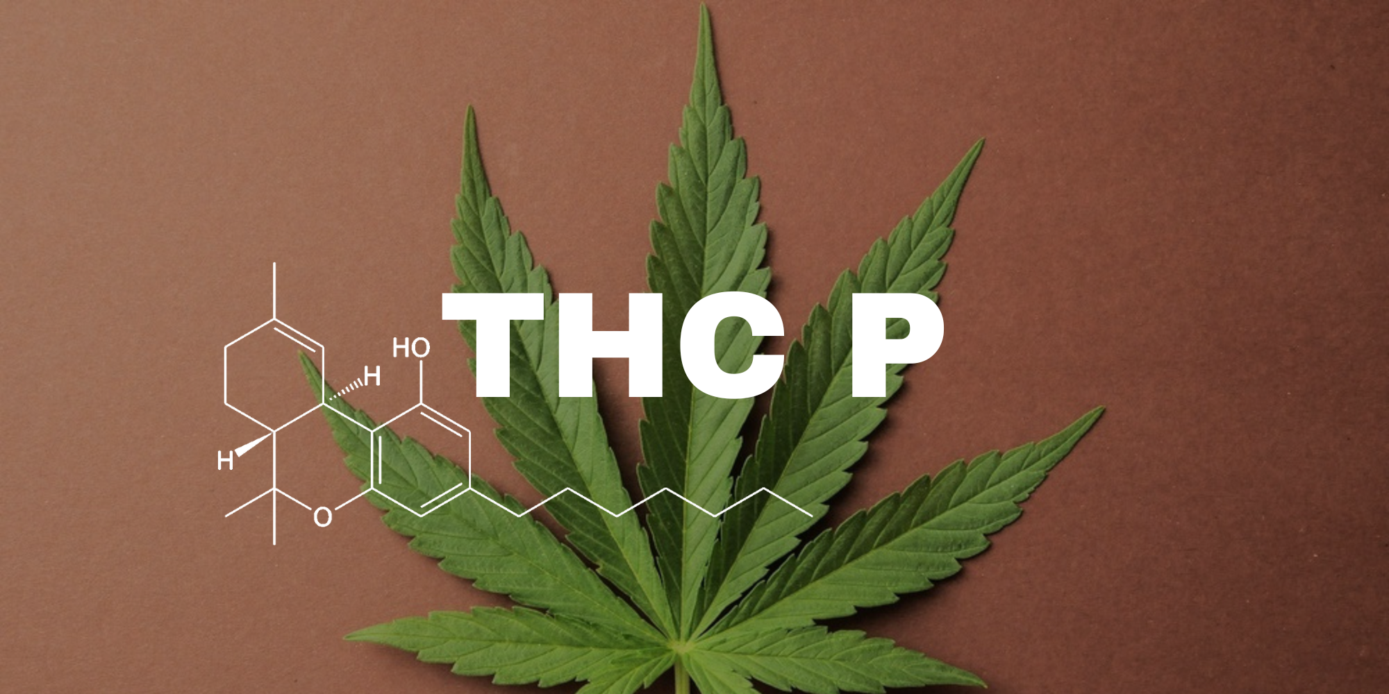 what does thc-p mean